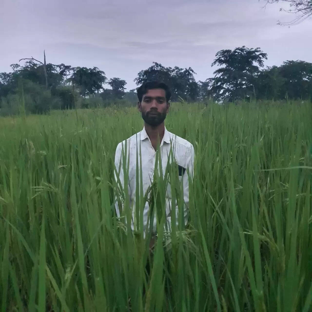 जैविक खेती के प्रतीक बने थानेंद्र साहू, मिलेगा डा खूबचंद बघेल पुरस्कार