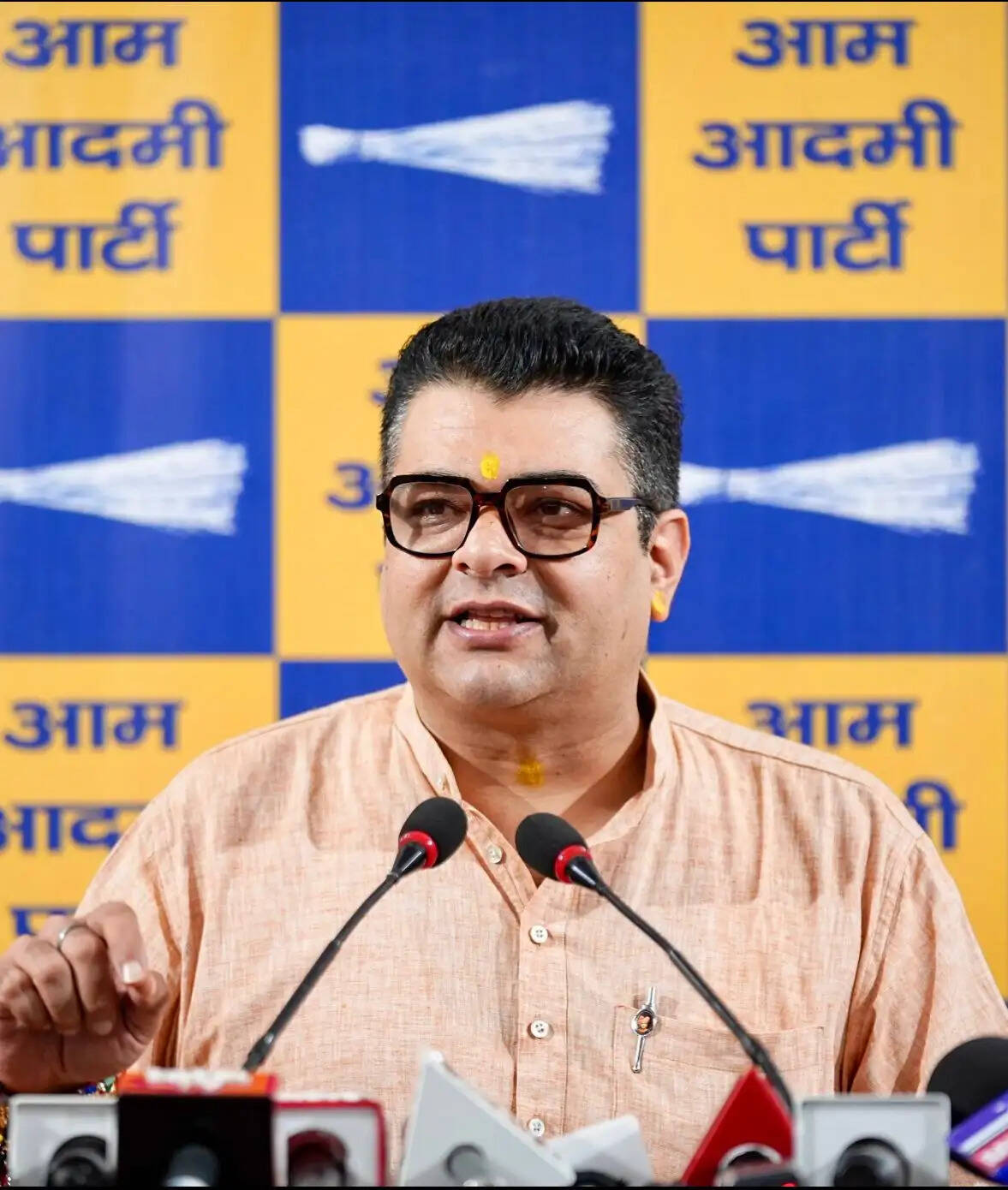 दिल्ली में मानसून की तैयारियों को लेकर आआपा ने सरकार पर साधा निशाना