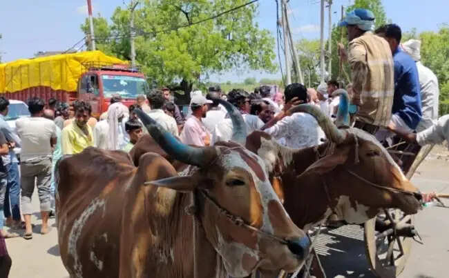 मप्र के खरगोन में जल संकट से जूझ रहे किसानों ने खंडवा-वडोदरा हाईवे पर किया चक्का जाम