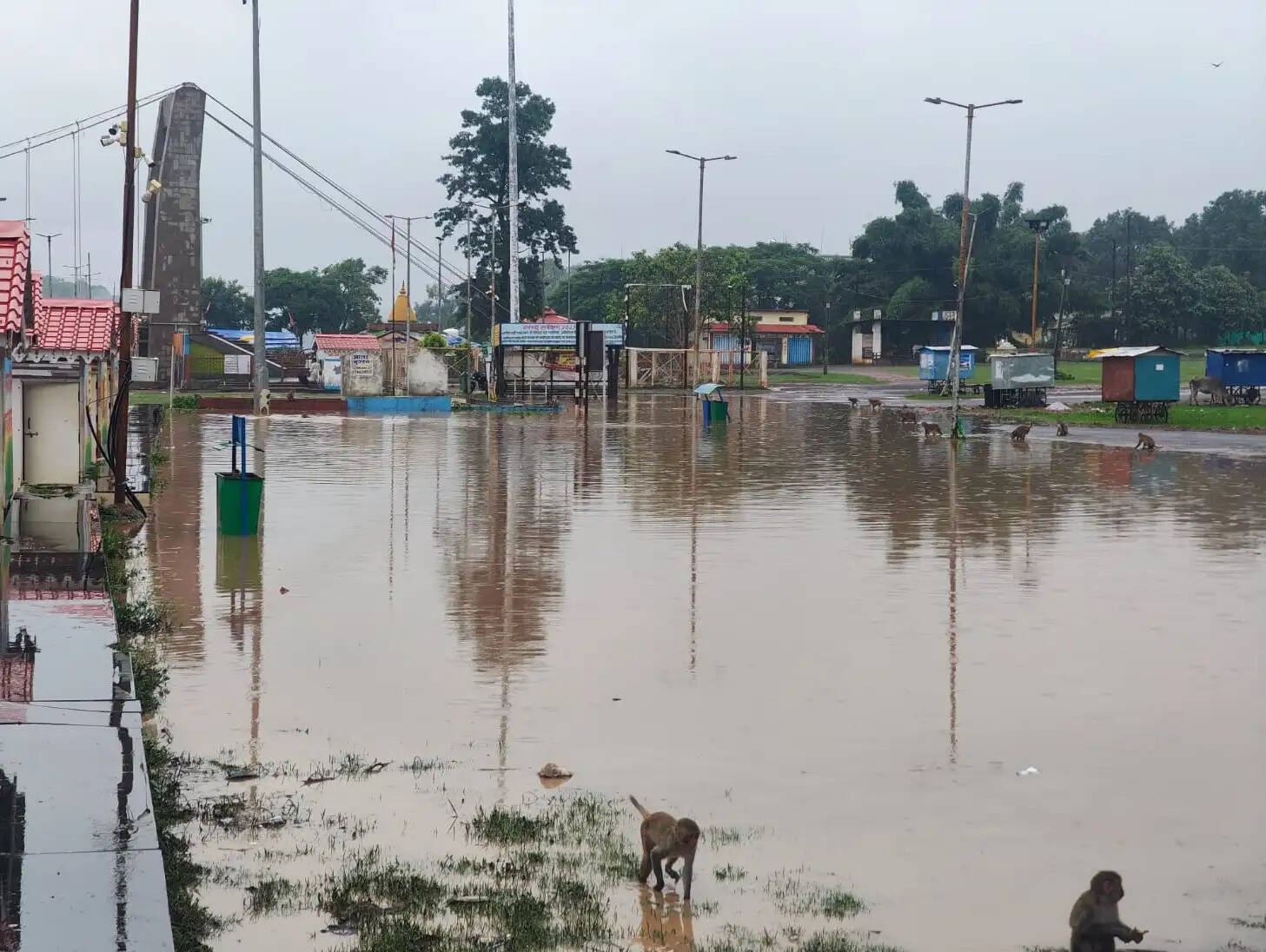अनूपपुर में झमाझम बारिश से किसानों को राहत, खरीफ बोवनी ने पकड़ी रफ्तार