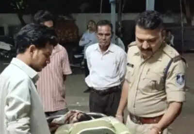 मिनी ट्रक ने बाईक सवार को रौंदा, मौके पर मौत