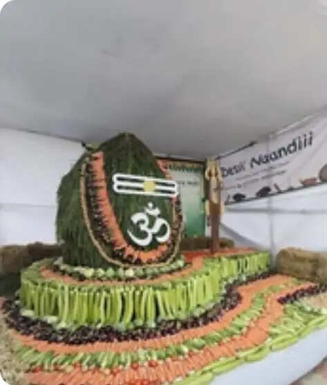 ‘साग-सब्जियों’ को दिया महादेव का आकार, सूरत में 2,000 किलो सब्जियों से बना 10 फीट ऊंचा शिवलिंग