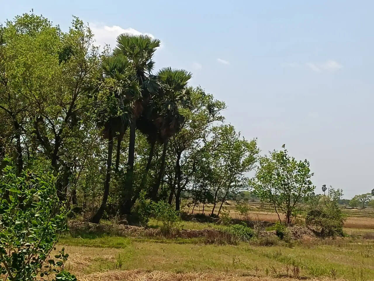 वीबी-जी रैम जी योजना में बड़ा घपला,एक ही तालाब पर तीन योजनाओं से लाखों का भुगतान