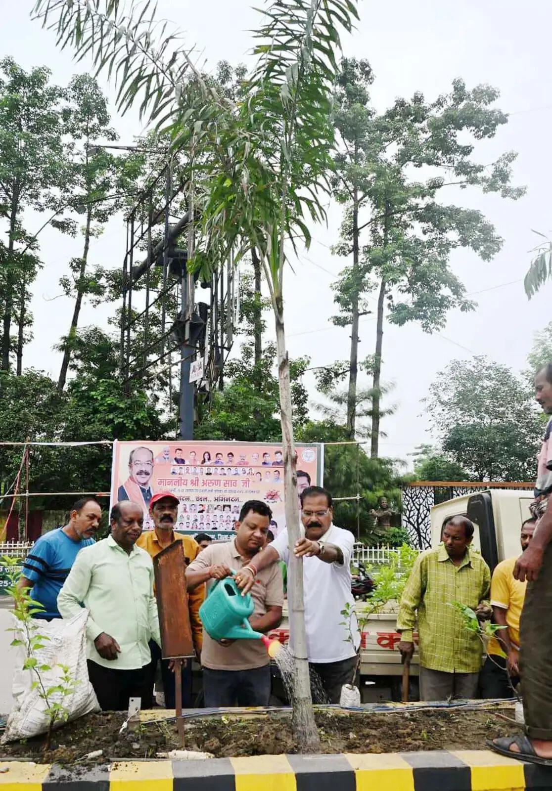 एक पेड़ मां के नाम अभियान:कोरबा में सीएसईबी चौक से शारदा विहार तक हुआ सघन वृक्षारोपण