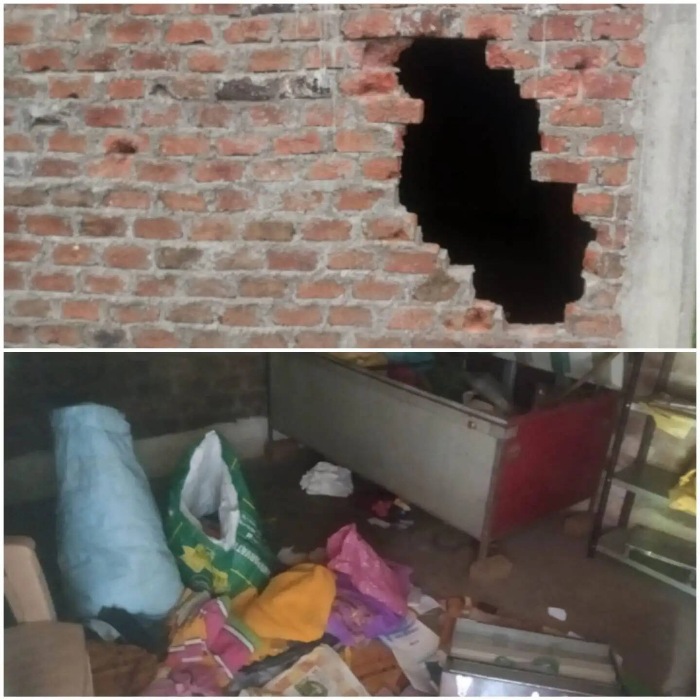 राजगढ़ः मकान की दीवार तोड़कर 16 बकरा-बकरियां ले गए चोर