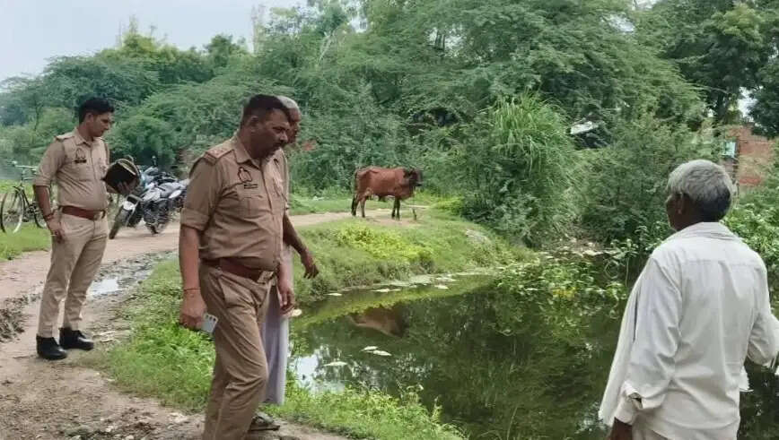 औरैया : जहरीली दवा डालकर 25 कुंतल मछलियां मारीं
