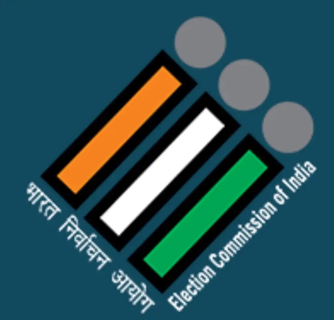 सुलतानपुर : झाड़ियों में मिले सरकारी फॉर्म-6, आरसी पेपर, जांच के आदेश