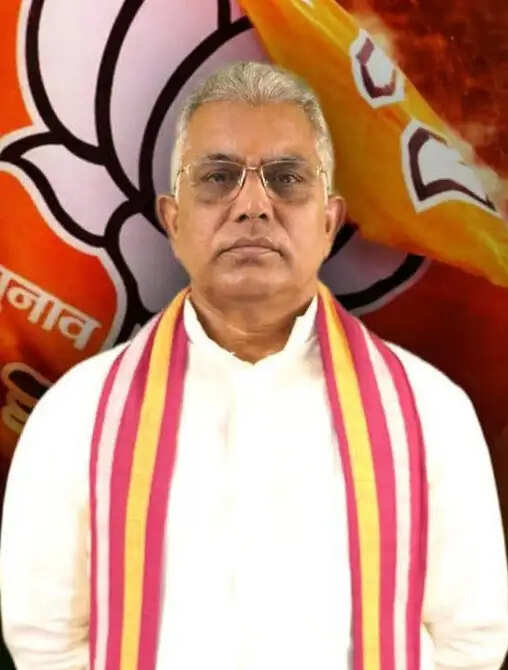 दिलीप घोष का दावा : भाजपा ही रोक सकती है घुसपैठ