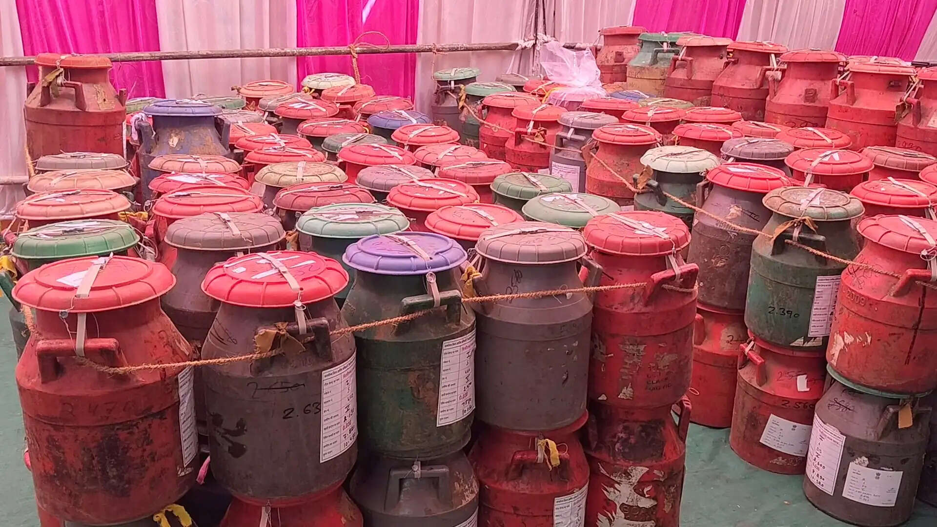 अफीम की खेती में दबंगों का दबदबा, बिना लाइसेंस मिलीभगत से हो जाती है बुआई