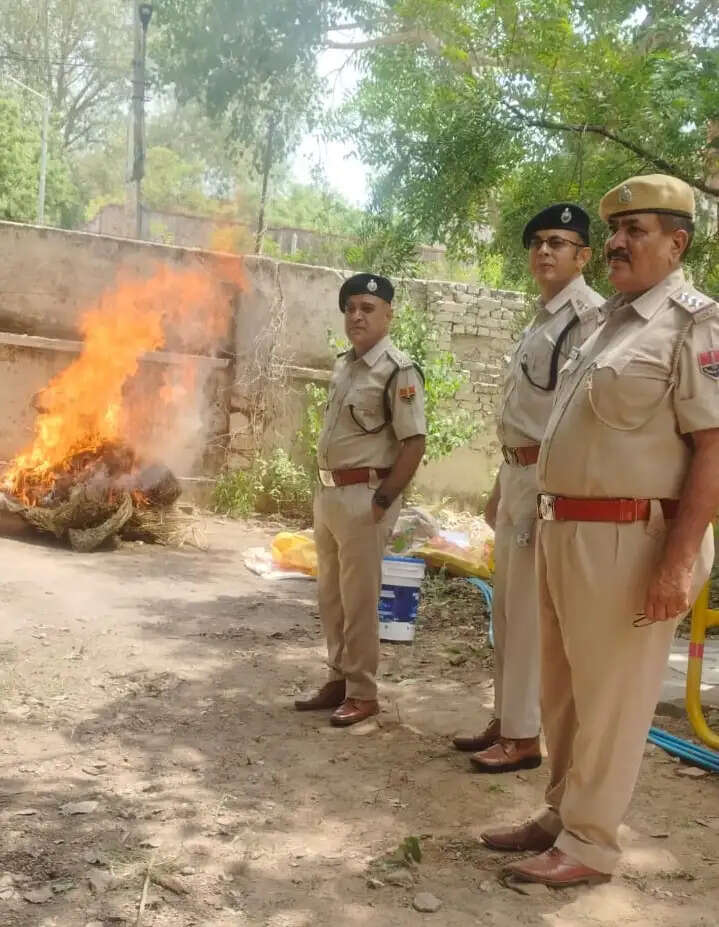 जयपुर ग्रामीण पुलिस ने नष्ट किए 19.43 लाख रुपये के मादक पदार्थ