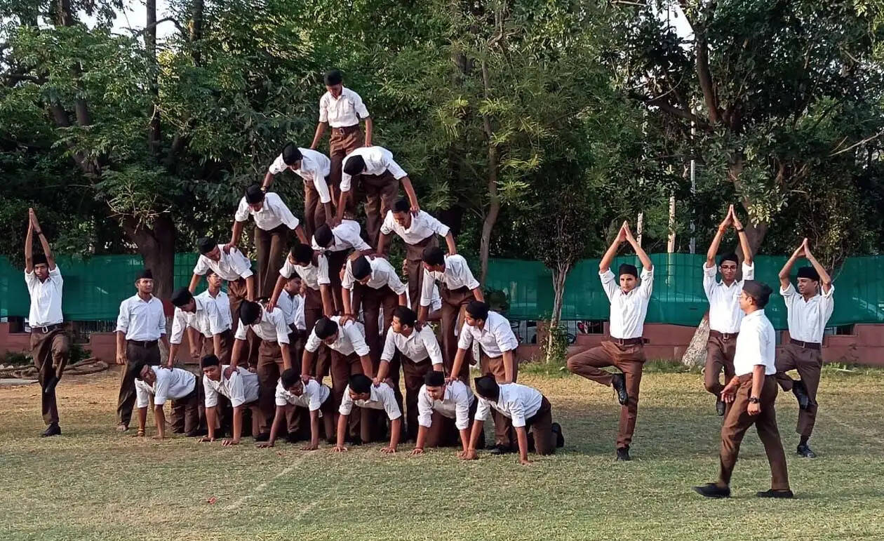 हिसार : संगठित समाज ही राष्ट्र को वैभव तक पहुंचाने में सक्षम : प्रो. सीताराम व्यास