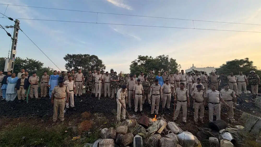 सिवनीः अवैध महुआ शराब पर बड़ी कार्रवाई, 6 थानों की संयुक्त टीम का छापा, 50 क्विंटल लाहन नष्ट
