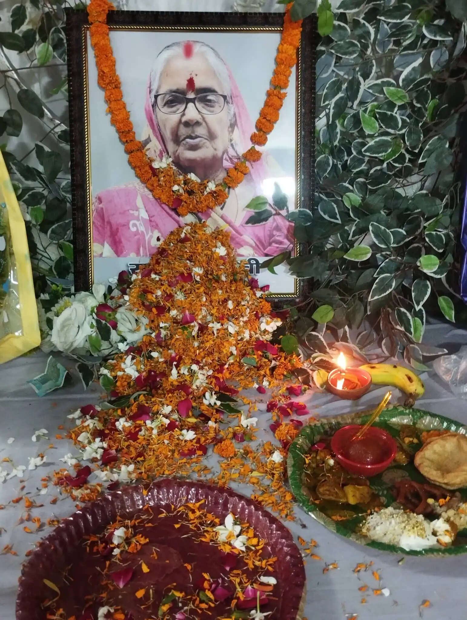 मरणोपरांत नेत्रदाता बच्ची देवी के श्रद्धांजलि सभा में पौधा बांट पर्यावरण संरक्षण का दिया गया संदेश