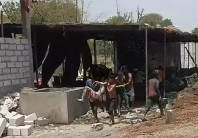 (अपडेट) मप्र के देवास में पटाखा फैक्टरी में विस्फोट के बाद लगी भीषण आग, तीन की मौत, 25 मजदूर घायल