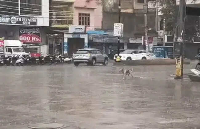 नारनौल : सीजन की पहली झमाझम बारिश, मौसम हुआ सुहावना