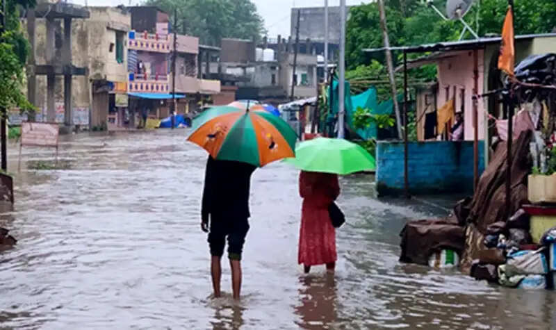 मध्य प्रदेश में भारी बारिश का स्ट्रॉन्ग सिस्टम एक्टिव, 4 जिलों में स्कूल बंद, कई इलाकों में बाढ़ जैसे हालात
