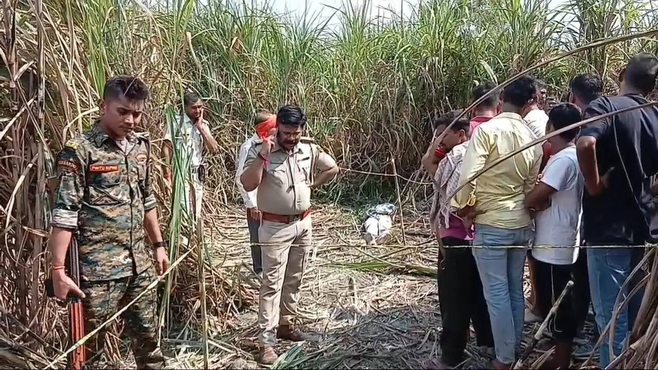 गन्ने के खेत में मिला 15 वर्षीय किशोर का शव, हत्या की आशंका