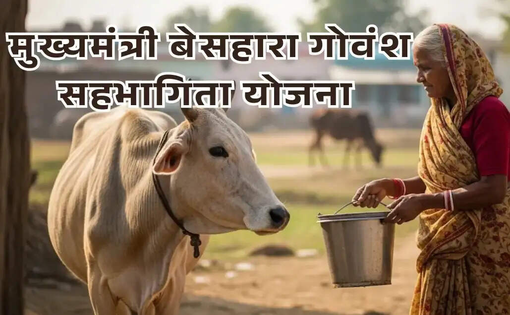 निराश्रित गोवंश को मिला सरकार का सहारा, 1645 गोवंश को मिला नया ठिकाना