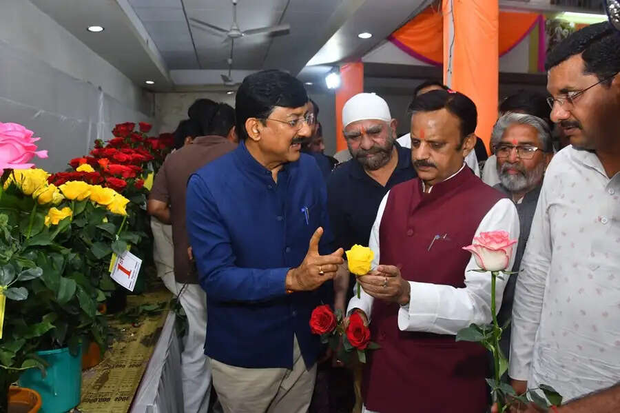 गुलाब स्टोरी आने वाले समय में प्रदेश और देश के लिए बनेगी प्रेरणादायक उदाहरण : उप मुख्यमंत्री शुक्ल