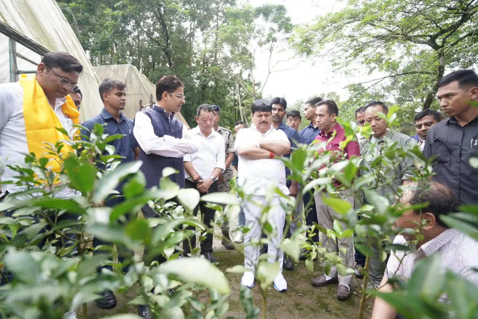 दार्जिलिंग के सिनकोना क्षेत्र में विविधीकरण पहल का मंत्री अर्जुन सिंह ने किया निरीक्षण