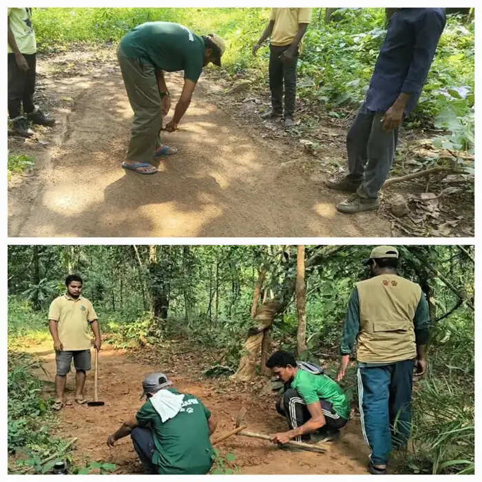 आईटीआर में वन्यजीवों की मौजूदगी का पता लगाने 200 पगमार्क इम्प्रेशन पैड बनेंगे