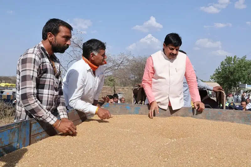 उज्जैन: अचानक उपार्जन केंद्र का निरीक्षण करने पहुंचे मुख्यमंत्री, व्यवस्थाओं का लिया जायजा