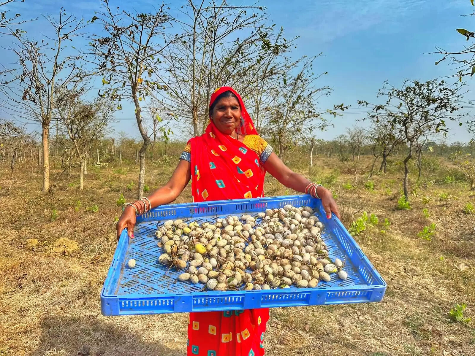 रेशम विभाग एवं महात्मा गांधी नरेगा के समन्वित प्रयासों से अर्जुन पौधरोपण एवं जल संरक्षण कार्यों ने दिलाई नई दिशा