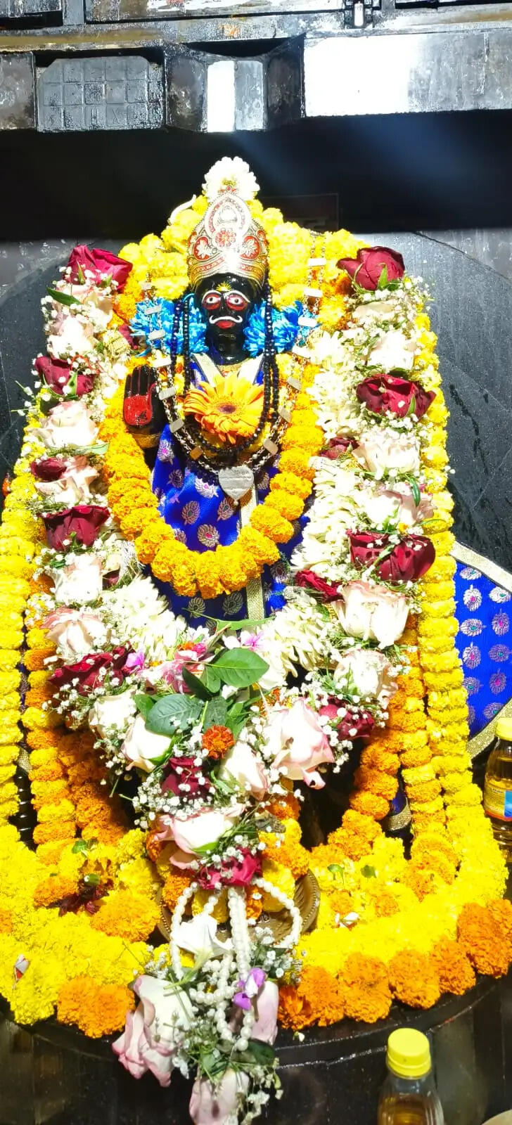 शनि महाराज का 25वां वार्षिक पूजा और शनि जन्मोत्सव 16 को