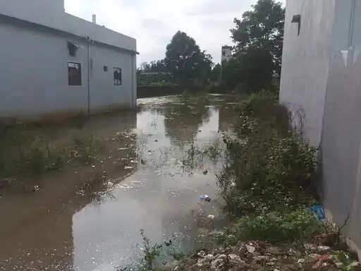 अनूपपुर: लगातार बारिश से निचले इलाकों में घुसा पानी, बारिश ने पिछले साल का रिकॉर्ड तोड़ा
