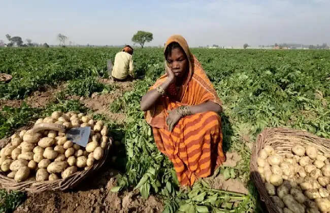 बंगाल में खेती के आधुनिकीकरण के लिए 407 करोड़ रुपये की सब्सिडी, आवेदन प्रक्रिया शुरू