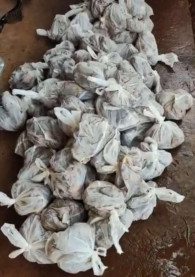 निगम कार्यालय में बाढ़ पीड़ितों का खाद्य सामग्री सड़ाना दुर्भाग्यपूर्ण, महापौर जवाब दें : राजेश चौधरी
