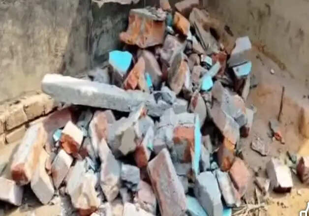 मेदिनीपुर में हाथियों का आतंक : तीन घर तहस नहस, सौ बीघा फसल बर्बाद