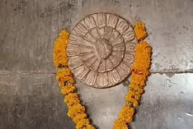 मप्र के भोजशाला में हनुमान-चालीसा पाठ के साथ हुई पूजा-अर्चना, श्रद्धालु बोले- वर्षों बाद हो रहा बिना रोक-टोक दर्शन