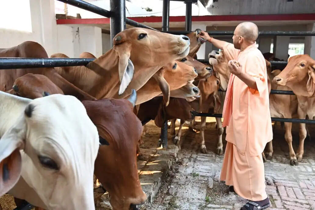 जरूरतमंदों के साथ खड़ी है सरकार, हर उचित समस्या का करेगी निदानः मुख्यमंत्री