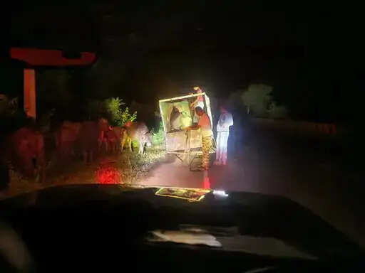 अनूपपुर : अनूपपुर में मवेशियों से भरी बिना नंबर की पिकअप पकड़ी, छह मवेशी मुक्त, तस्कर जंगल में भागे