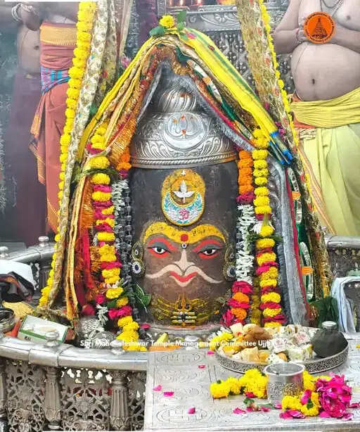 भस्म आरती में राजा स्वरूप में सजे बाबा महाकाल, शेषनाग मुकुट और पुष्पों से हुआ दिव्य शृंगार