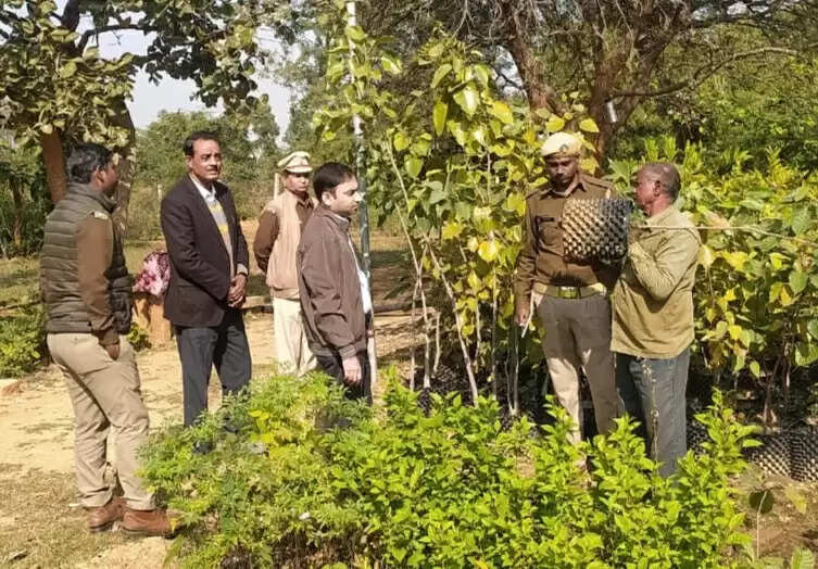 डीएफओ ने हलिया रेंज के विभिन्न स्थानों का निरीक्षण किया, वनाधिकारियों को दिए निर्देश