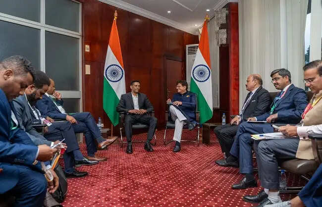 डब्ल्यूटीओ की विवाद निपटान प्रणाली को कार्यशील बनाने की जरूरत: पीयूष गोयल