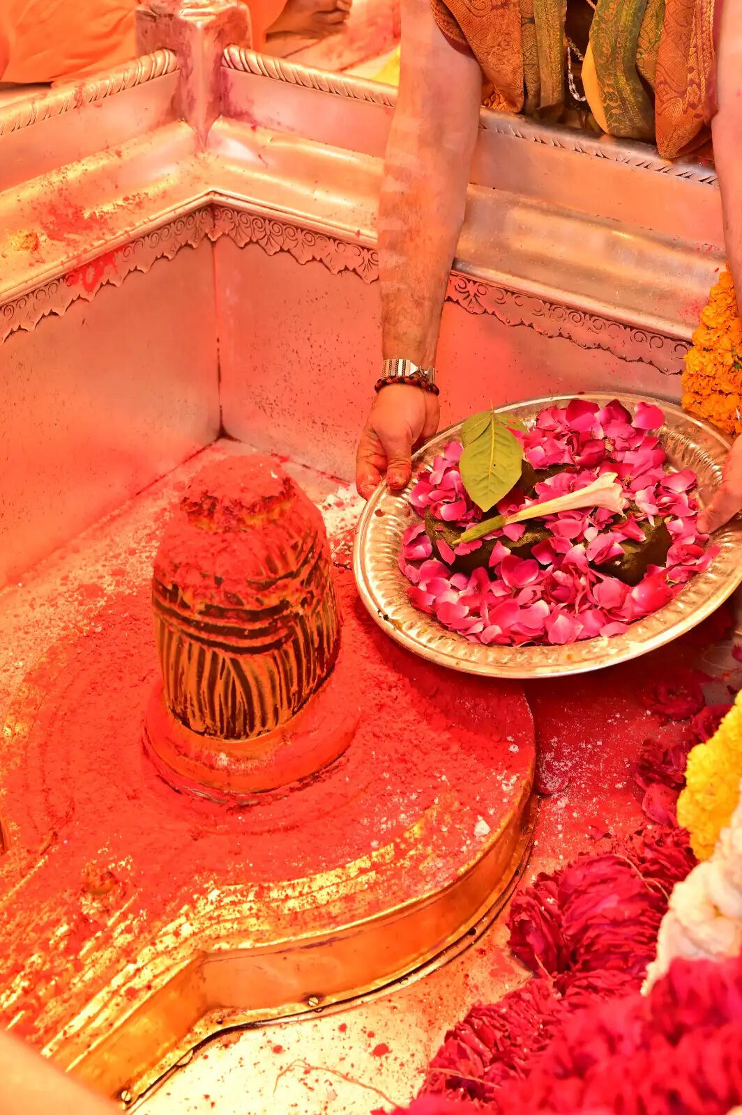 श्री काशी विश्वनाथ धाम में शिवभक्तों ने खेली फूलों की होली,भक्तों में उल्लास,गर्भगृह में चढ़ा गुलाल