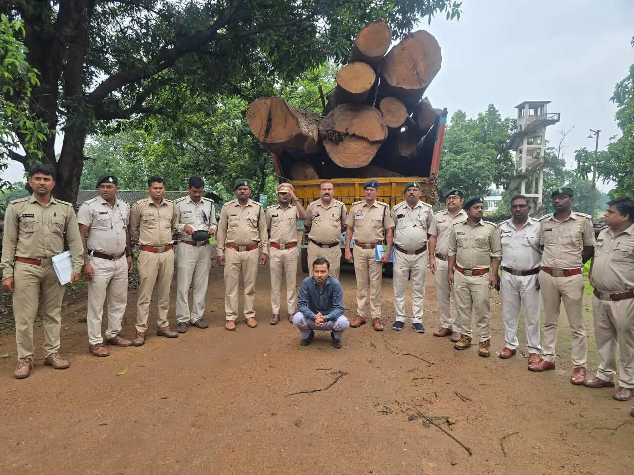 कोरबा वन मंडल की बड़ी कार्रवाई: 20 घनमीटर अवैध साल लकड़ी बरामद, मुख्य आरोपित गिरफ्तार