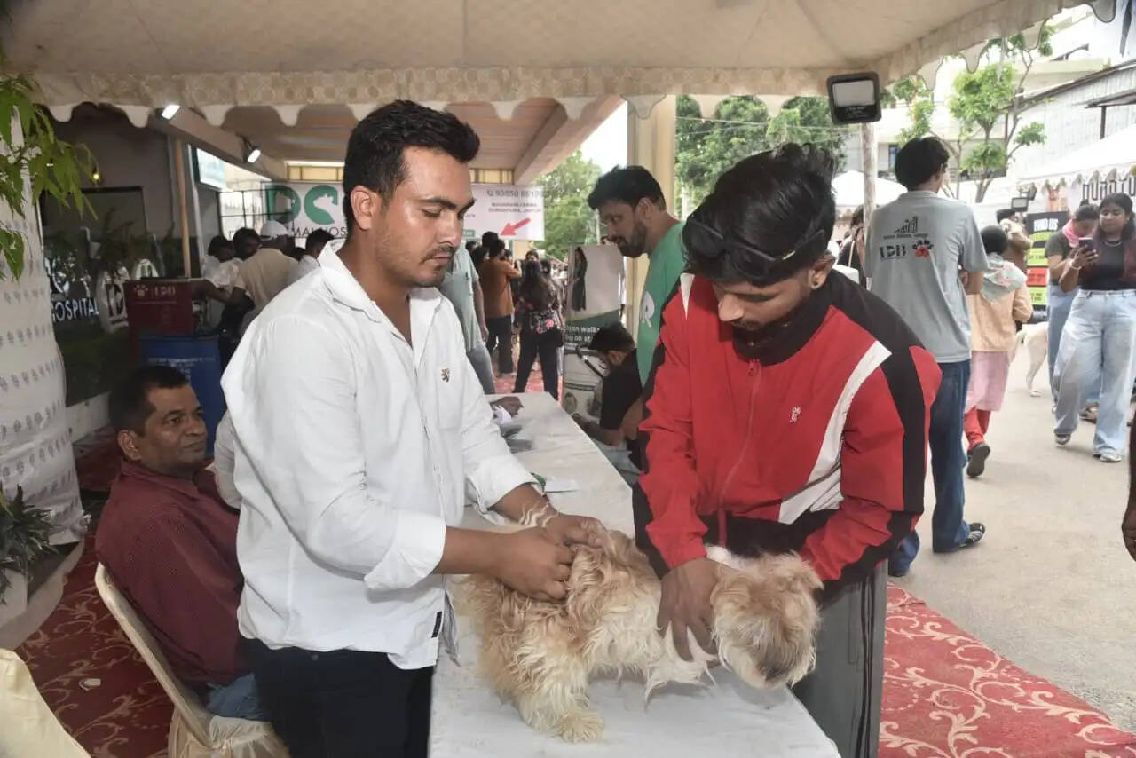 जयपुर में एक दिन में 2 हजार से अधिक पेट्स का पंजीकरण, 32 वर्गफीट का 'पेट पिज्जा' भी बना