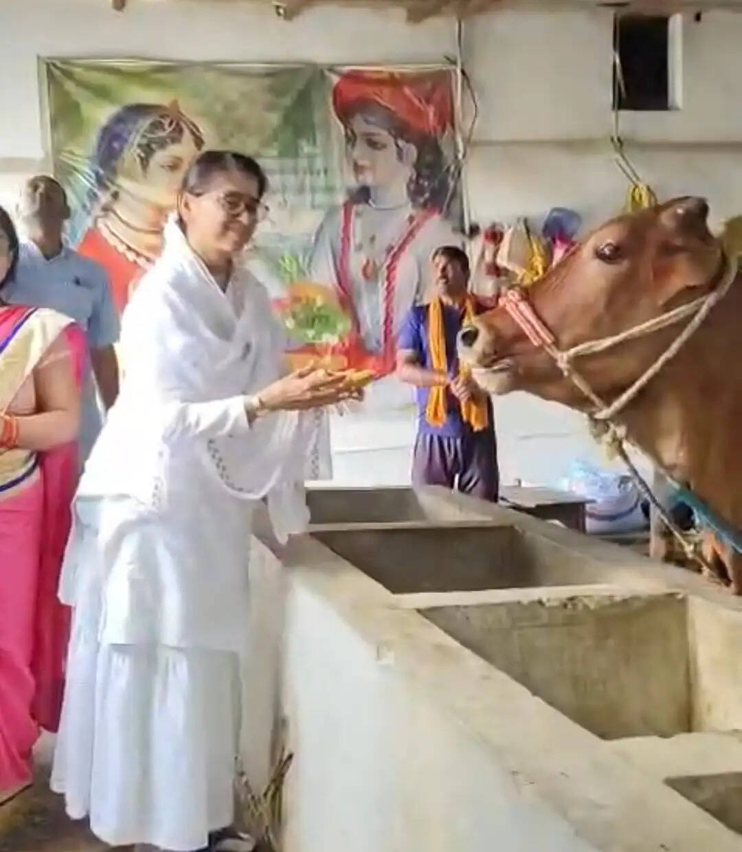 साध्वी गोपिका महाराज ने जन्मदिन पर की गौसेवा