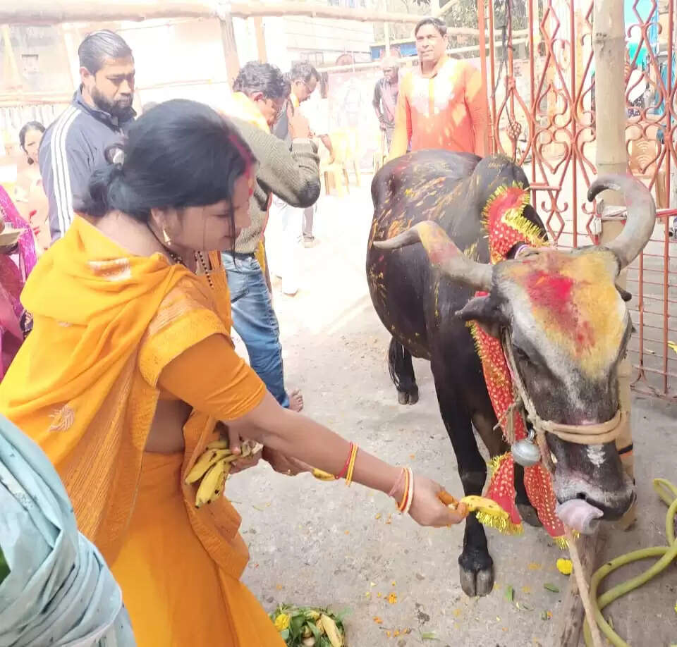 खड़गपुर में सामाजिक समरसता मंच का गौपूजन, ‘गौ से ही गति है’ का दिया संदेश