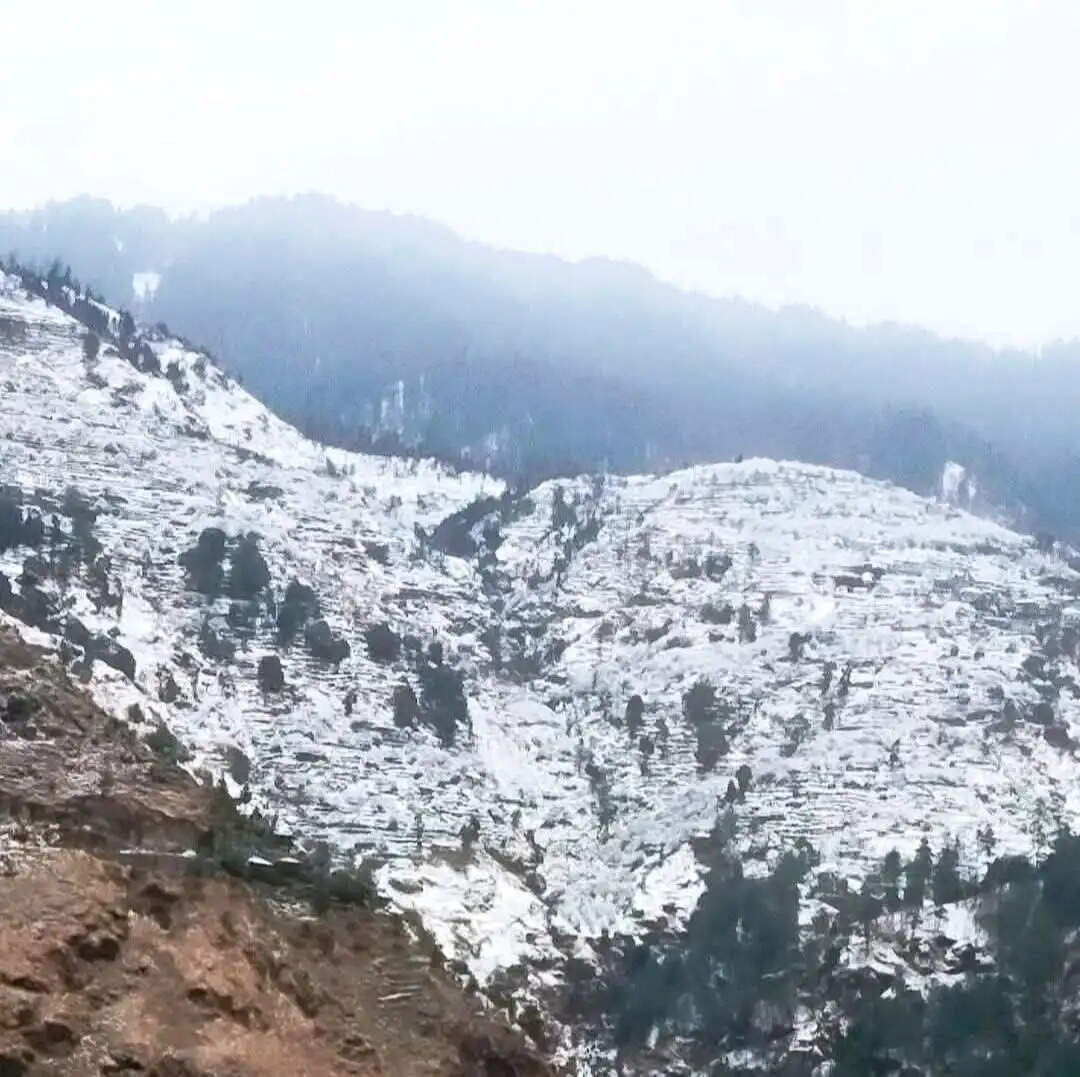 हिमाचल में ओलावृष्टि से फसलों को नुकसान, अगले दो दिन फिर ओरेंज अलर्ट