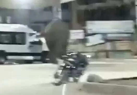 आधी रात दूधाधारी चौक पर जंगली हाथी के आने से मचा हड़कंप, वन विभाग ने खदेड़ा