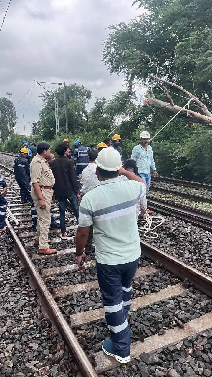 देवरिया : दो जगह पेड़ गिरने से रेल परिचालन प्रभावित, कई ट्रेनें निरस्त