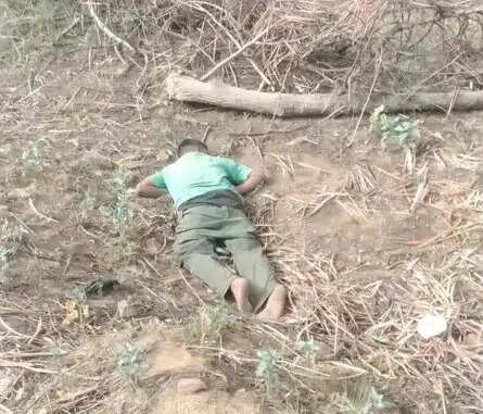बस स्टैंड के पास मिला युवक का शव
