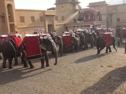 शारदीय नवरात्र 11 अक्टूबर से, आमेर में हाथी सवारी पर 12 दिन रोक