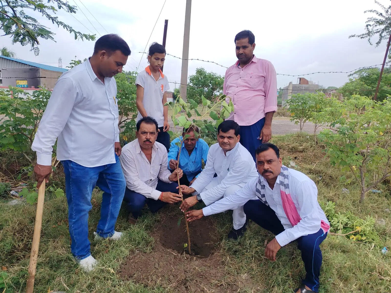 औरैया : सपा का पीडीए वृक्षारोपण अभियान, पर्यावरण संरक्षण का लिया संकल्प