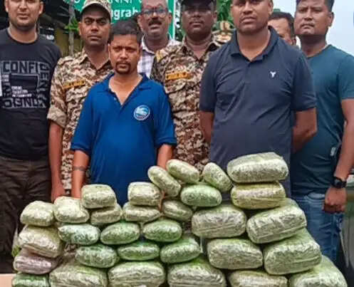 चेंगड़ाबांधा&nbsp;चेकपोस्ट पर भारी मात्रा में गांजा बरामद, तस्कर गिरफ्तार